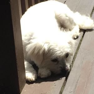 Meet your Posher, Jackie